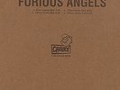 Rob Dougan - Furious Angels, 2x12