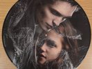 Hot Topic Exclusive Twilight Saga Picture Disc