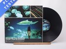 Bring Me The Horizon Count Your Blessings Mispress LP Album Vinyl Record - EX/NM