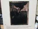 PIXIES RECORD 