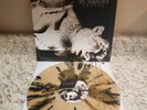 Ion Dissonance Solace Vinyl Record LP New Mystery Ripple Variant