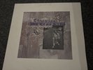 Throwing Muses - University 1995 vinyl lp 4ad with inner sleeve EX