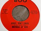 Brothers Of Soul   :  Hurry , Don't Linger   -  Boo   -  60's Soul 45  -  Exc