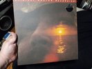 David Crosby If I Could Only Remember My Name Mofi MFSL 2lp 45rpm Audiophile