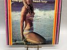 The Beach Boys Surfer Girl Vintage Vinyl LP 1973 Pickwick/33 Record SPC-3351-A