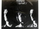 YOUNG MARBLE GIANTS COLOSSAL YOUTH ROUGH TRADE VIP4219 Japan VINYL LP