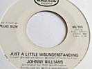 Johnny Williams  :  Just A Little Misunderstanding   -  Bashie Promo  - 70' s