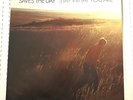 SAVES THE DAY Stay What You Are, Vinyl LP Original 2001 Pressing Pop Indie Punk