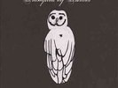 Trampled By Turtles Palomino Records & LPs New