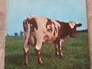 Pink Floyd Atom Heart Mother 1970 LP Vinyl EX Original Untitled SKAO-382 Old Sun