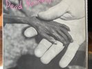 Dead Kennedys, Album, Plastic Surgery Disaster