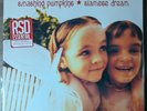 The Smashing Pumpkins Siamese Dream limited edition Red Smoke vinyl