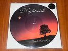NIGHTWISH ANGELS FALL FIRST 2x LP PICTURE DISC *RARE UK BOB PRESS VINYL 2004 LTD