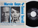 MARVIN GAYE & TAMMI TERRELL If I Could Build SWEDEN 45 Tamla Motown TMG 635 HEAR