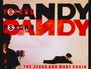 The Jesus And Mary Chain - Psychocandy (LP) (Mint (M))