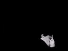 Bob Moses - Days Gone By [New Vinyl LP]