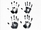 Kaleo A/B Records & LPs New