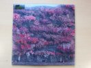 Sleep Token/Even In Arcadia/2025 RCA 2x LP Set/New/MINT/Sealed