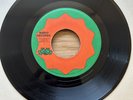 Freddie Mcgregor - Rastaman Camp 7” RARE Roots Original