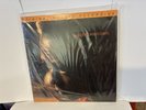 NEW Miles Davis - Nefertiti - MFSL 45RPM 2LP- 2-436 2014