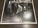 Into the Wild Life by Halestorm (2015) 2x Yellow Translucent Vinyl LP OOP RARE