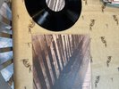 RED HOUSE PAINTERS   SHOCK ME   NEAR MINT 4AD  1994 UK 12