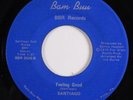 70s Soul/Funk 45 SANTIAGO Feeling Good BAM BUU HEAR d
