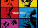 COWBOY BEBOP LP Box Set First Press Limited Edition Analog 11Disc Record Anime