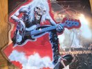 Iron Maiden – Fear Of The Dark Live 1993 Numbered Shaped Picture Disc 7” NWOBHM