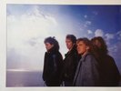 Strangeways Native Sons Bonaire Vinyl LP