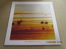 SKULI SVERRISSON W/BILL FRISSELL Strata LP Used  180 Gram Newvelle 2021 France
