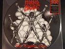 Morbid Angel Thy Kingdom Come Limited Lp Picture Album Heavy Death Metal Thrash