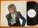 DAVID BOWIE Into The Labyrinth LIVE AT RADIO CITY NEW YORK 1973 White Label lp