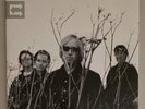 Tom Petty And The Heartbreakers  Echo  Vinyl 2xLP Record VG+ W/ Inserts