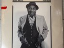 MUDDY WATERS HARD AGAIN BLUE SKY Records CBS Records Vinyl LP AL 3449 1977