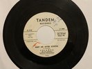 Yolanda And The Castanets – What About Me? / Meet Me After School 45 RP Promo