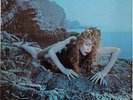 Roxy Music Siren NEAR MINT Virgin Vinyl LP