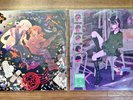 Set of 2 Zutomayo Jinkougaku & Hisohiso Banashi Vinyl Limited Edition w/ Sticker
