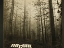 CURE: a forest FICTION 12