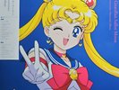 Various - Pretty Guardian : Sailor Moon / The 30th Anniversary Memorial Album (V