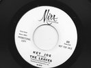 GARAGE PUNK 45  - LEAVES - (with BOB ARLIN) -  HEY JOE   - HEAR 1966 PROMO MIRA