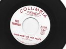 GARAGE PUNK FUZZ 45 - TROPICS - THIS MUST BE THE PLACE -HEAR 1967 PROMO COLUMBIA