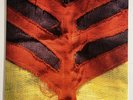 Yeah Yeah Yeahs / Show Your Bones 2006 Vinyl LP NM/VG+ US 1st Press Record