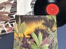 LONNIE LISTON SMITH - Loveland LP Vinyl EX   - Beautiful Glossy Vinyl