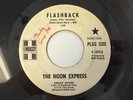 RARE Psych Fuzz Garage Mod PROMO 45 - Noon Express 