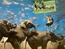Fairport Convention Unhalfbricking NEAR MINT A&M Records Vinyl LP