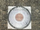 Alice In Chains Jar of Flies Clear Fly Vinyl Rare Limited Edition /150