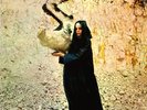 Fleetwood Mac The Pious Bird of Good Omen (Vinyl) 12