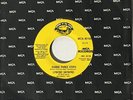 Lynyrd Skynyrd-Gimme Three Steps-ORIG. 1973 SOTS PROMO 45-NM/UNPLAYED