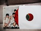 Red Vinyl Album Mono The Beatles Yesterday and Today butcher Cover